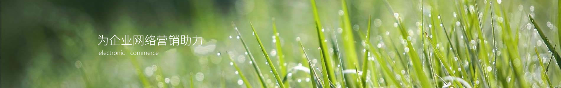лҺѹƼ޹˾